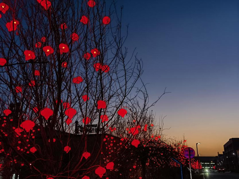 ŷ�������(�й���)���޹�˾